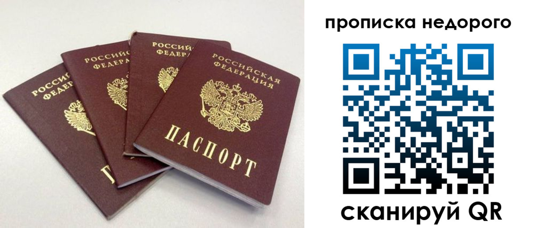 прописка законно в Шилке